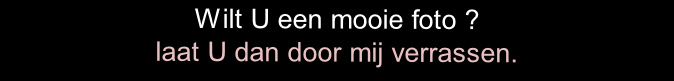 Wilt U een mooie foto ?
laat U dan door mij verrassen. 